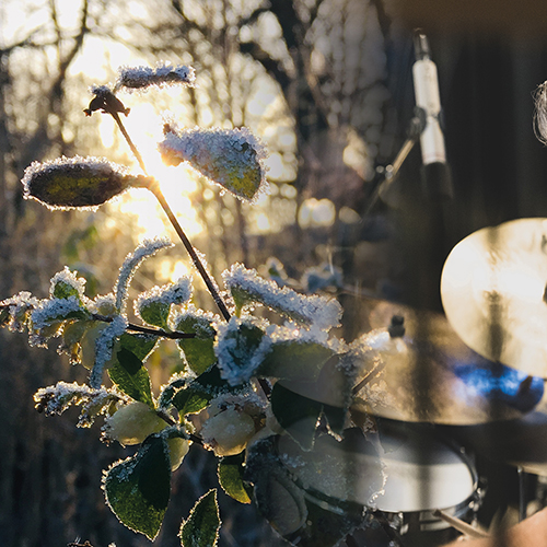 TRIO X OF SWEDEN: Es ist ein Ros entsprungen