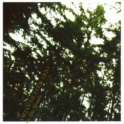 ÖRJAN HULTÉN TRIO: In the Woods