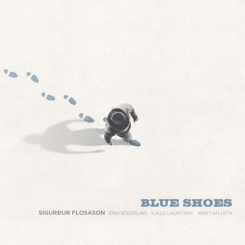 FLOSASON, Sigurður: Blue Shoes