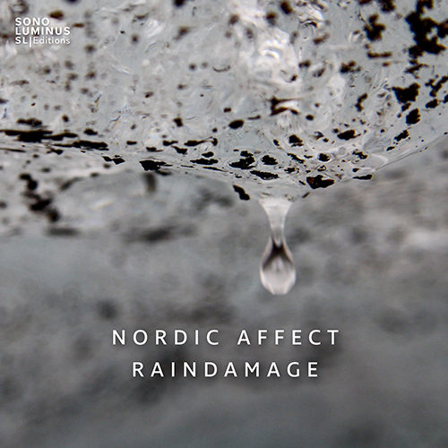 Chamber Music - SIGURÐSSON, V. / HANSSON, Ú. / VILMARSSON, H.A. (Raindamage) (Nordic Affect)
