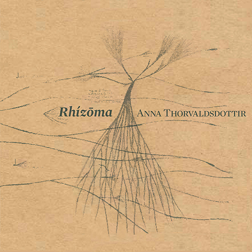 THORVALDSDÓTTIR, A.: Dreaming / Hidden / Hrim / Streaming Arhythmia (Rhízōma) (DeHart, Caput Ensemble, Birgisson)