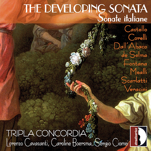 Chamber Music - CORELLI, A. / DALL'ABACO, E.F. / SCARLATTI, D. / VERACINI, F.M. / PANDOLFI MEALLI, G.A. (The Developing Sonata) (Tripla Concordia)