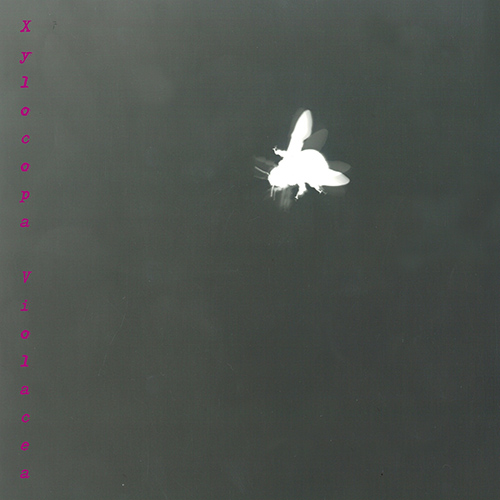 RONCHETTI, L.: Sonno di Atys (Il) / Interludes Nos. 1 and 2 / Studi profondi / Last Desire Cadenza (Xylocopa Violacea) (Maurer)