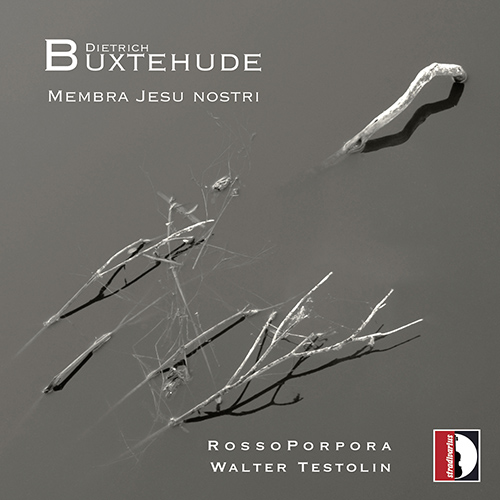 BUXTEHUDE, D.: Membra Jesu Nostri (RossoPorpora Ensemble, Testolin)
