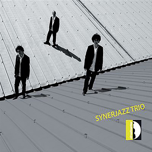 SYNERJAZZ TRIO