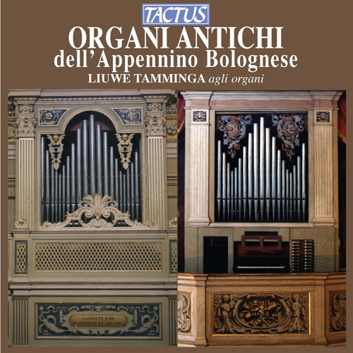 Organ Recital: Tamminga, Liuwe  - SCHEIDT, S. / MARTINI, G.B. / PALMERINI, L. / DONIZETTI, G. (Organi Antichi dell'Appennino Bolognese)