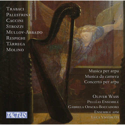 Harp Music (16th-21st Centuries) - PALESTRINA, G.P. da / STROZZI, B. / MULLOV-ABBADO, M. (Wass, Pelléas Ensemble, Ensemble APM, Vacchetti)