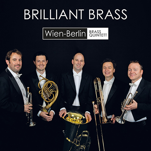 Brass Music - GANSCH, T. / EWALD, V. / LANNER, J. / BRUCKNER, M. / ARNOLD, M. / PIRCHNER, W. (Brilliant Brass) (Wien-Berlin Brass Quintett)