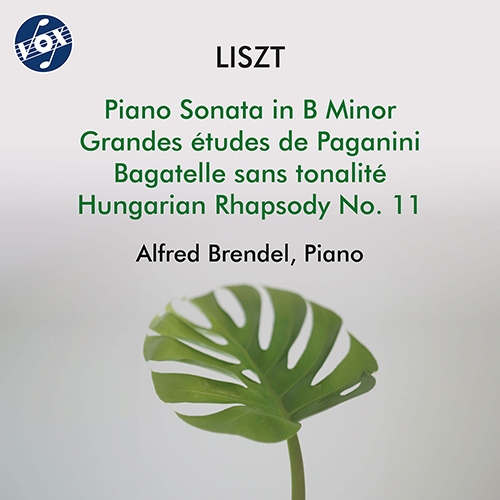LISZT, F.: Piano Sonata in B Minor / Grandes études de Paganini / Bagatelle sans tonalité / Hungarian Rhapsody No. 11 (Brendel)