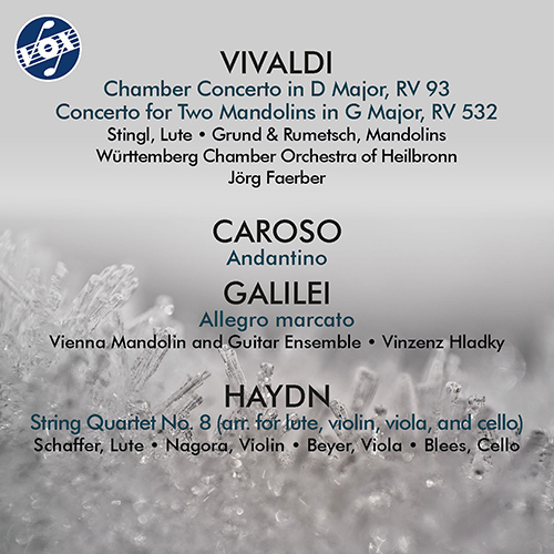 Lute and Mandolin Music - VIVALDI, A. / GALILEI, V. / HAYDN, J. (Schaffer, Stingl, Grund, Faerber, Hladky)