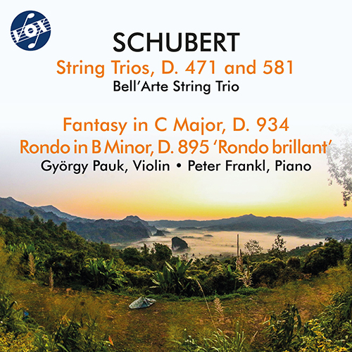 SCHUBERT, F.: String Trios, D. 471, 581 / Fantasy, Op. 159 / Rondo, Op. 70, 