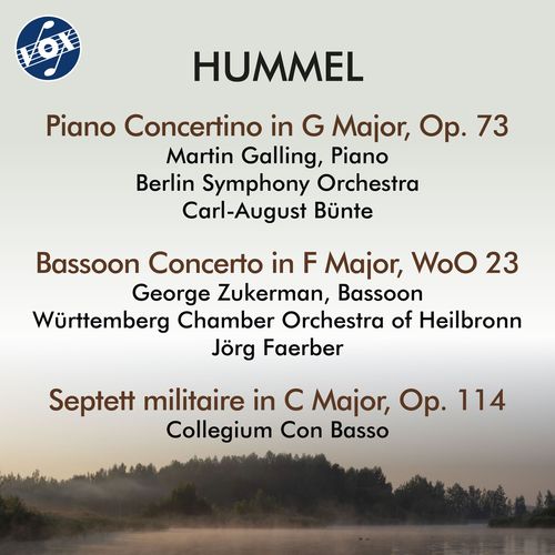 HUMMEL, J.N.: Piano Concertino, Op. 73 / Rondo, 