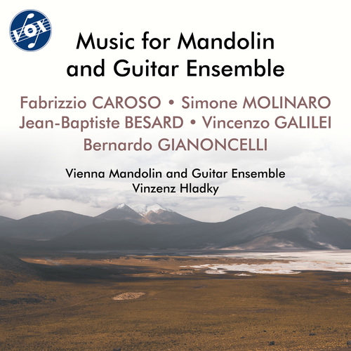 Mandolin and Guitar Ensemble Music - CAROSO, F. / MOLINARO, S. / BESARD, J.-B. / GALILEI, V. (Vienna Mandolin and Guitar Ensemble, Hladky)