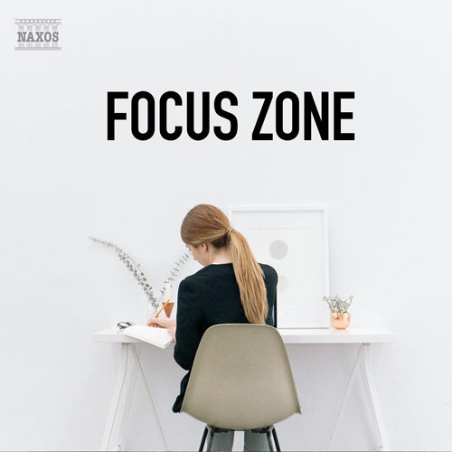 Focus Zone Focus Zone