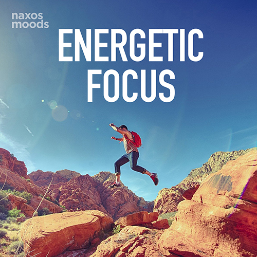 Energetic Focus Energetic Focus
