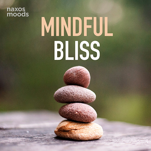 Mindful Bliss Mindful Bliss