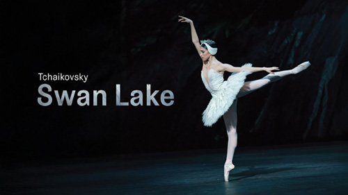 Tchaikovsky: Swan Lake