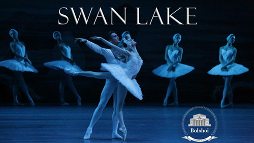 A Swan Lake
