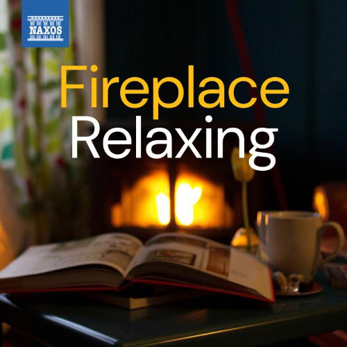 Fireplace Relaxing Fireplace Relaxing