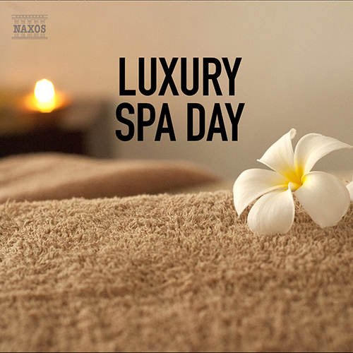 Luxury Spa Day Luxury Spa Day