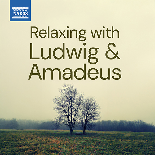 Naxos | Relaxing with Ludwig & Amadeus