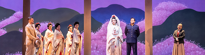 Madama Butterfly - Nov 2024