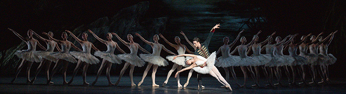 Swan Lake 2025